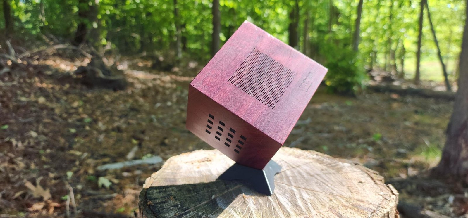 Cube tilted on its display stand under forest canopy — top face shows finest pinprick grid