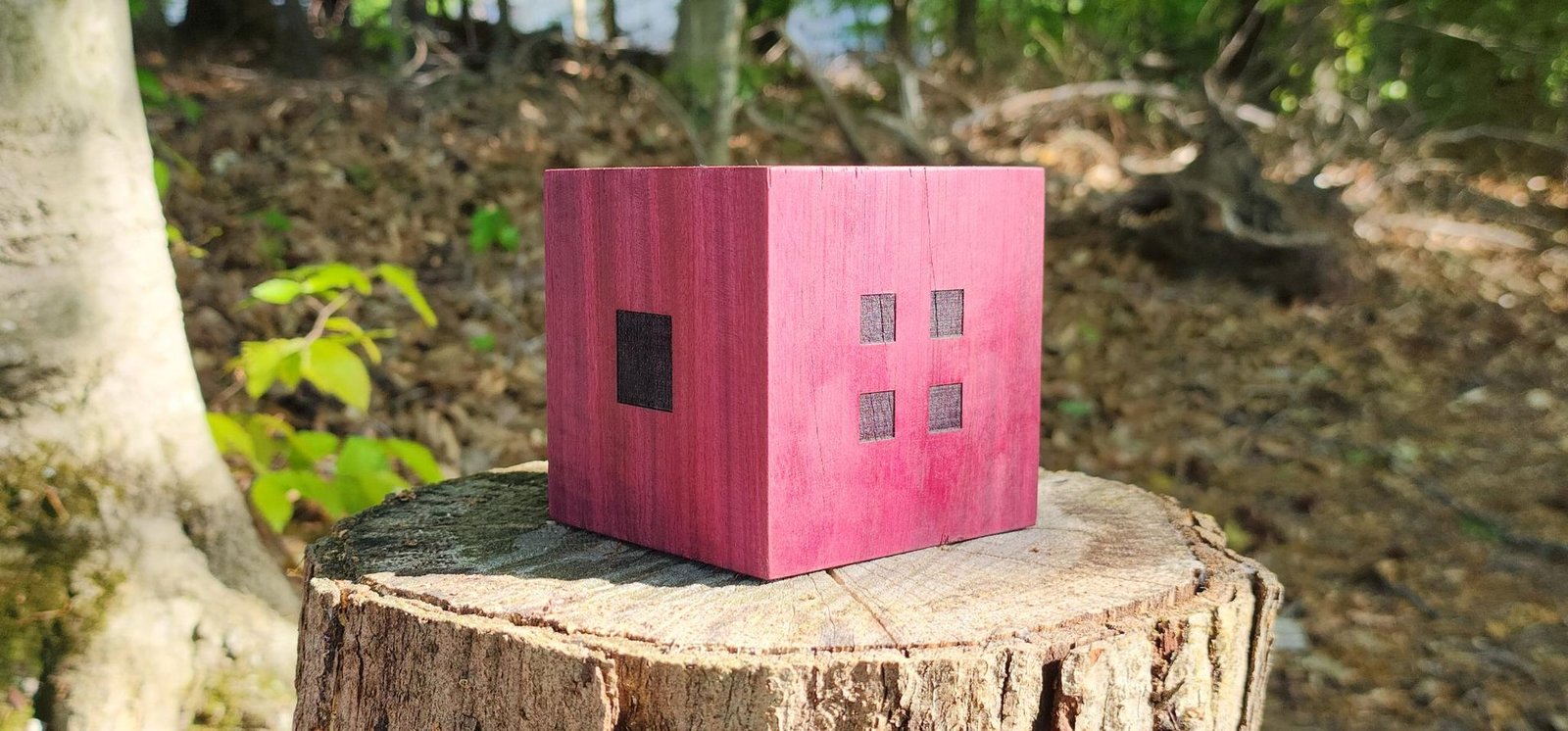 Single 64-square engraved face beside four-square face — purpleheart catching low sun
