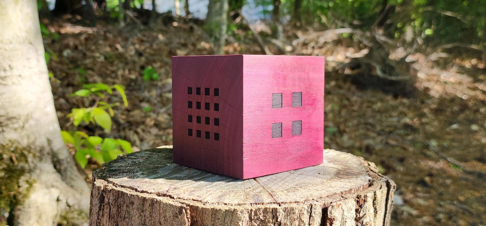 16-cell engraved face beside four-square face — clean wood grain in forest light
